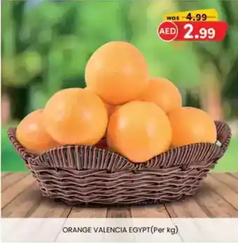 KM Trading Orange valencia egypt offer