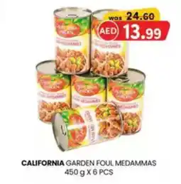 KM Trading California garden foul medammas offer