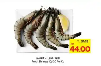 Megamart Fresh Shrimps 10/20 offer