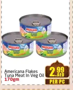 Delta Centre AMERICANA Tuna - Canned offer