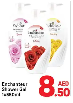 Day To Day Enchanteur Shower Gel offer