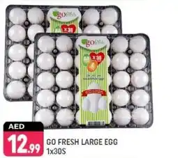 Shaklan Go fresh large egg offer