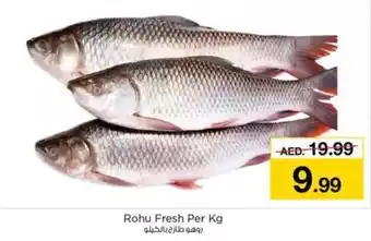 Nesto Rohu Fresh offer
