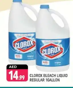 Shaklan CLOROX Bleach offer