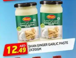 Al Madina SHAN Garlic Paste offer