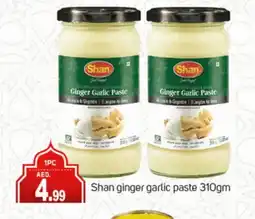 Talal Market SHAN Garlic Paste offer