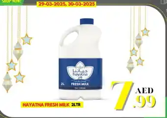 DESERT FRESH MARKET HAYATNA Fresh Milk offer
