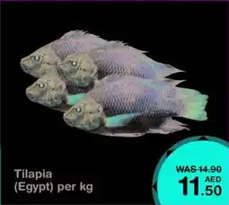 Nesto Tilapia offer