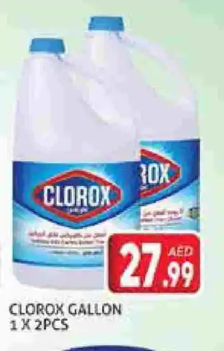 Palm Centre CLOROX Bleach offer