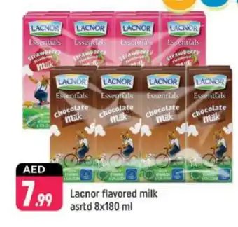 Shaklan LACNOR Flavoured Milk offer