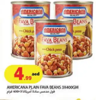 Rawabi Market AMERICANA Fava Beans offer