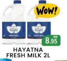 Zain Hypermarket HAYATNA Fresh Milk offer