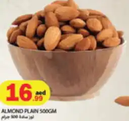 Almond plain