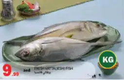 Rawabi Market Fresh vattalesh) fish offer