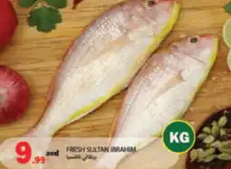 Rawabi Market Fresh sultan ibrahim offer