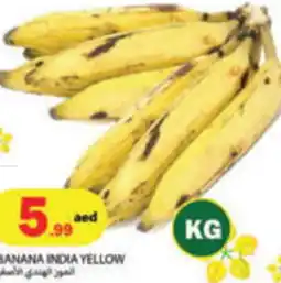 Rawabi Market Banana india yellow offer