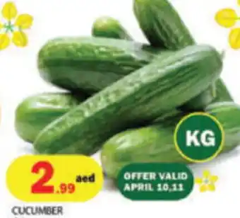 Rawabi Market Cucumber offer