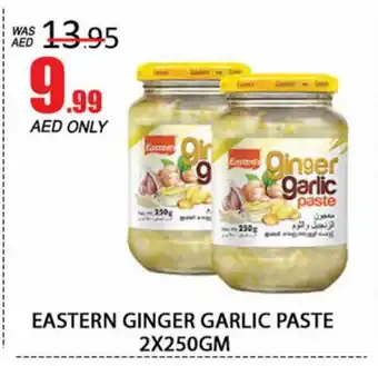 Al Madina EASTERN Garlic Paste offer