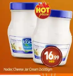Bigmart NADEC Cream Cheese offer
