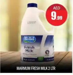 Bigmart MARMUM Full Cream Milk offer