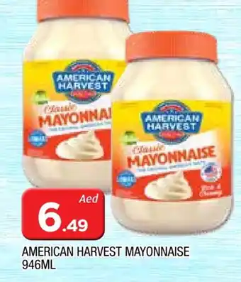 Al Madina AMERICAN HARVEST Mayonnaise offer