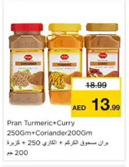 Nesto PRAN Spices / Masala offer