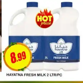 Al Madina HAYATNA Full Cream Milk offer