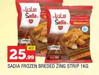 Al Madina SADIA Chicken Strips offer