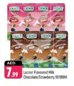 Shaklan LACNOR Flavoured Milk offer