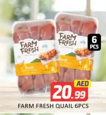 Mango Hypermarket LLC FARM FRESH Quail offer