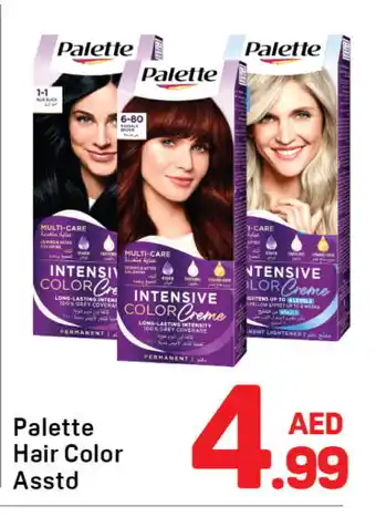 Day To Day PALETTE Hair Colour offer