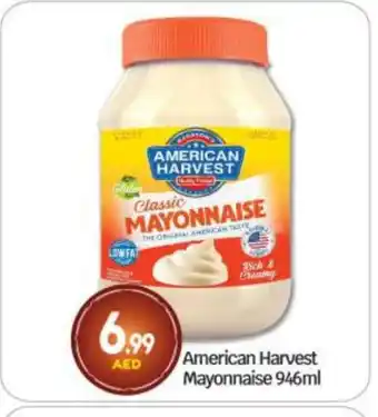 Bigmart AMERICAN HARVEST Mayonnaise offer