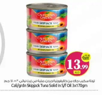 Bigmart CALIFORNIA Tuna - Canned offer