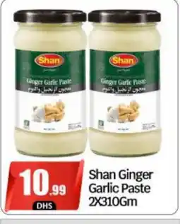 Bigmart SHAN Garlic Paste offer