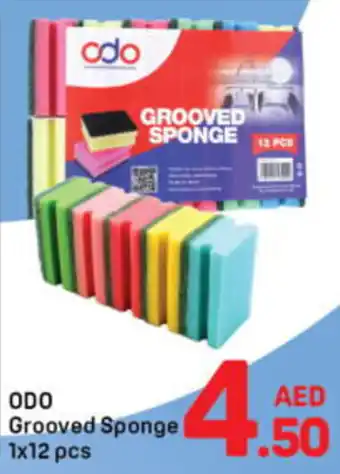 Day To Day Odo Grooved Sponge offer