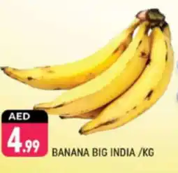 Shaklan Banana big india offer