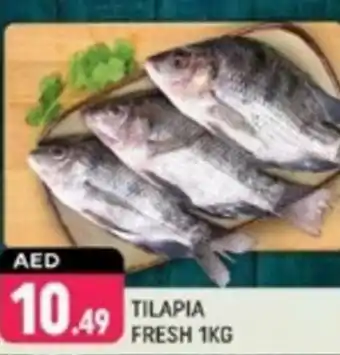 Shaklan Tilapia fresh offer