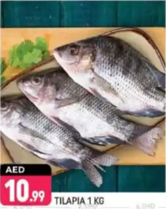 Shaklan Tilapia offer