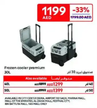 Carrefour Frozen cooler premium offer