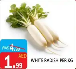 United Hypermarket White radish offer