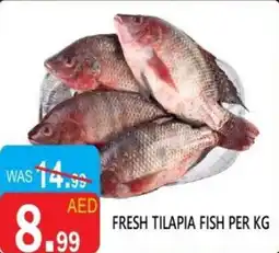 United Hypermarket Fresh tilapia fish offer