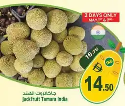 Safari Hypermarket Jackfruit Tamara India offer