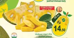 Safari Hypermarket Jackfruit Srilanka offer