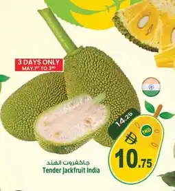 Safari Hypermarket Tender Jackfruit India offer