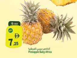 Safari Hypermarket Pineapple Baby Africa offer