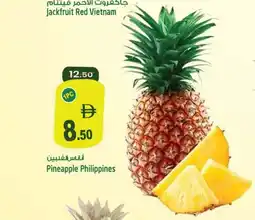 Safari Hypermarket Pineapple Philippines offer
