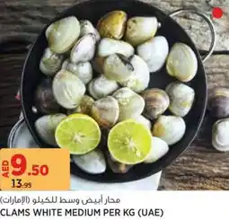 Aswaaq Clams white medium offer