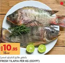 Aswaaq Fresh tilapia offer