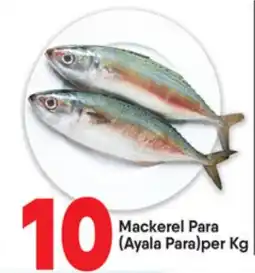 Bigmart Mackerel Para offer