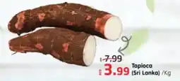 Al Madina Tapioca offer
